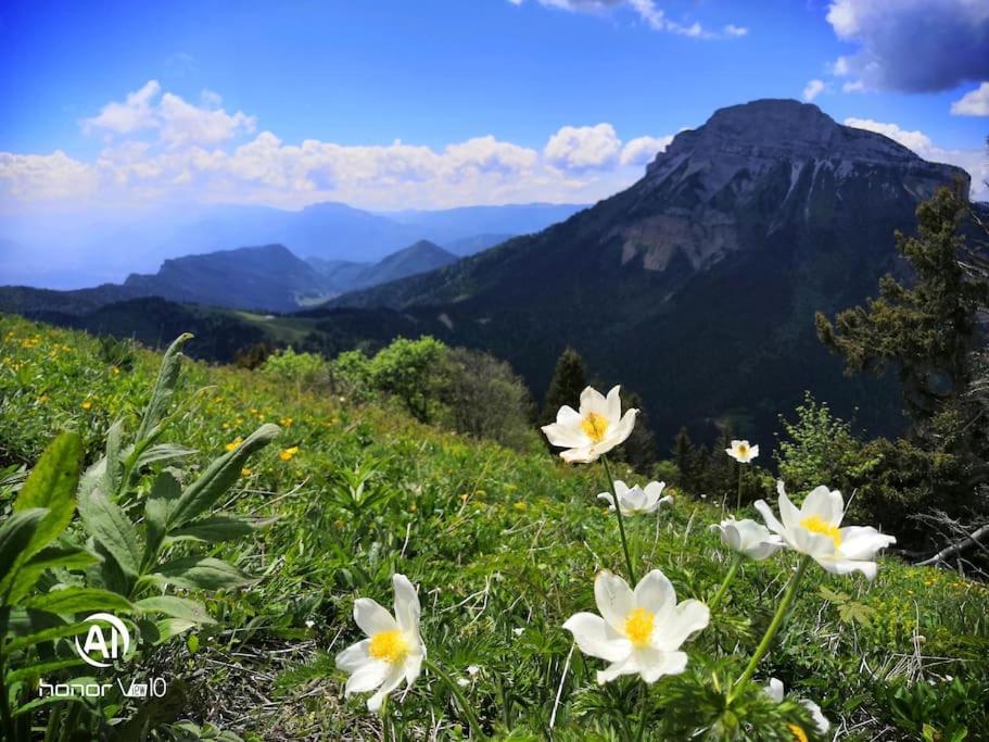Вилла La Tour En Belledonne Theys Экстерьер фото